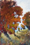 dreams of fall IV