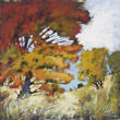 falls joy IV