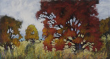 meadow crest fall