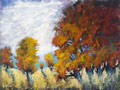 meadow solace II