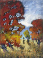 mountain meadow crest