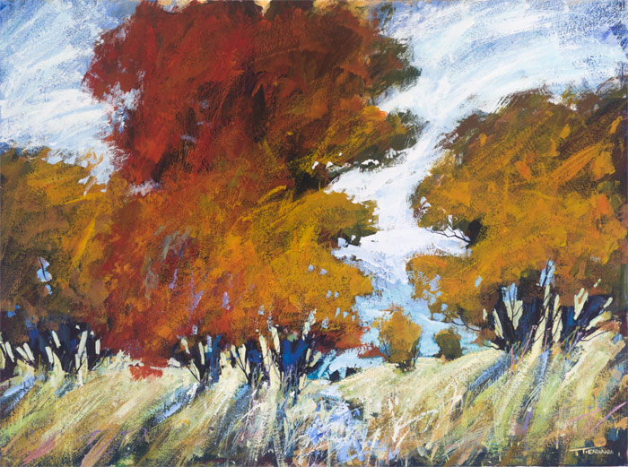 meadow field I