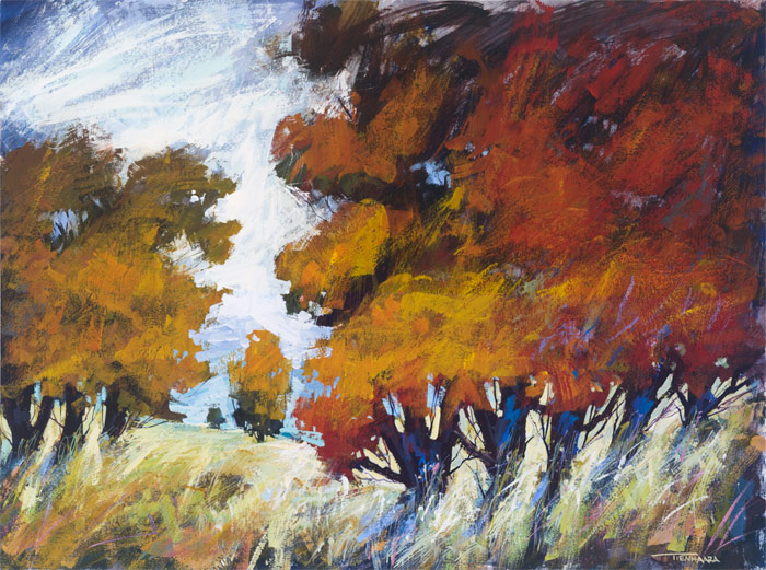 meadow field II