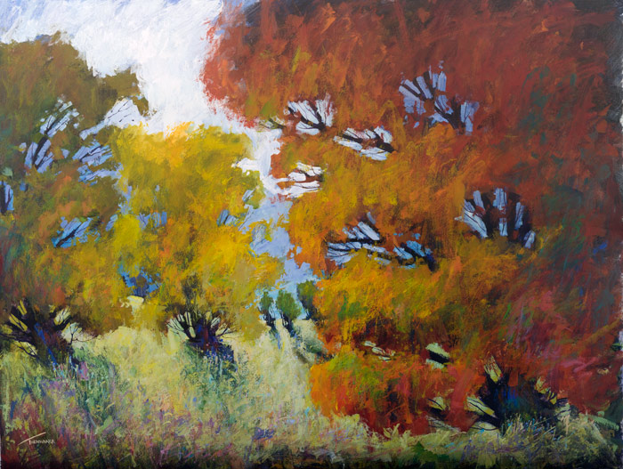 meadow splendor
